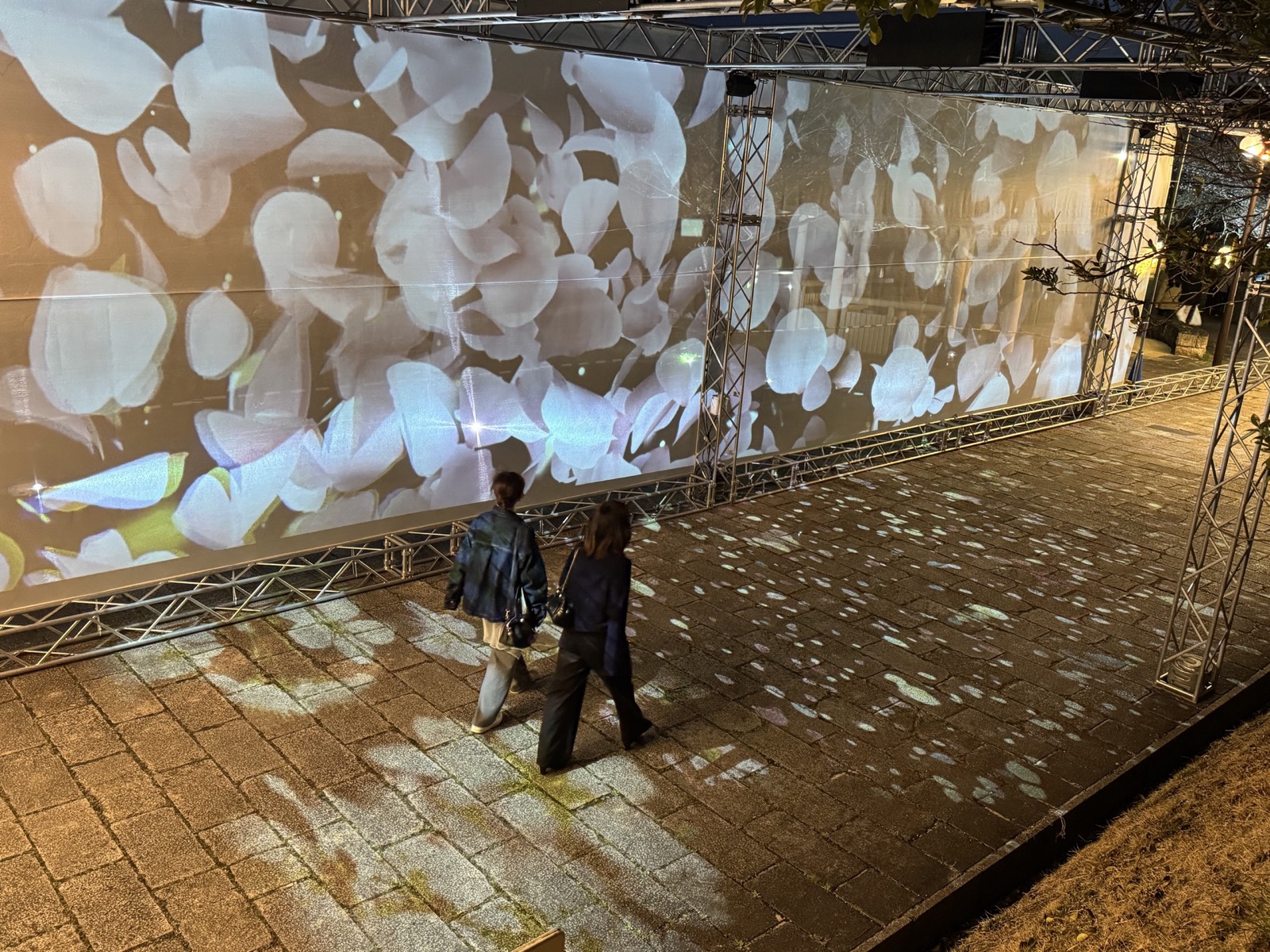 桜の小径 カップル