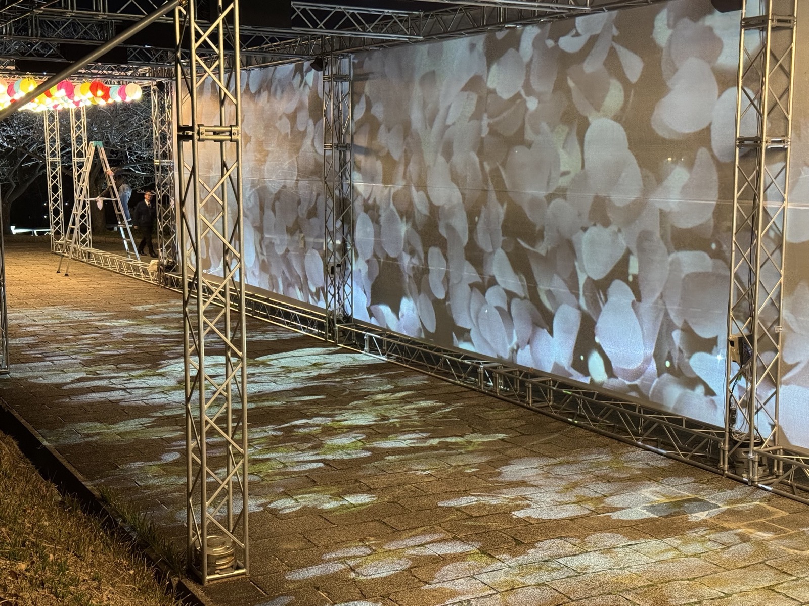 桜花びらの投影