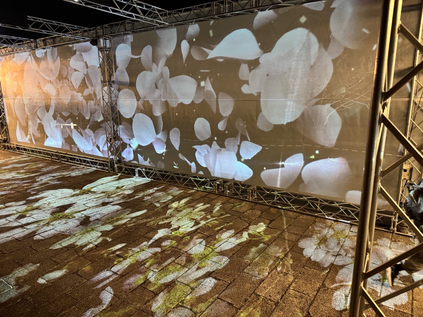 桜花びらクローズアップ