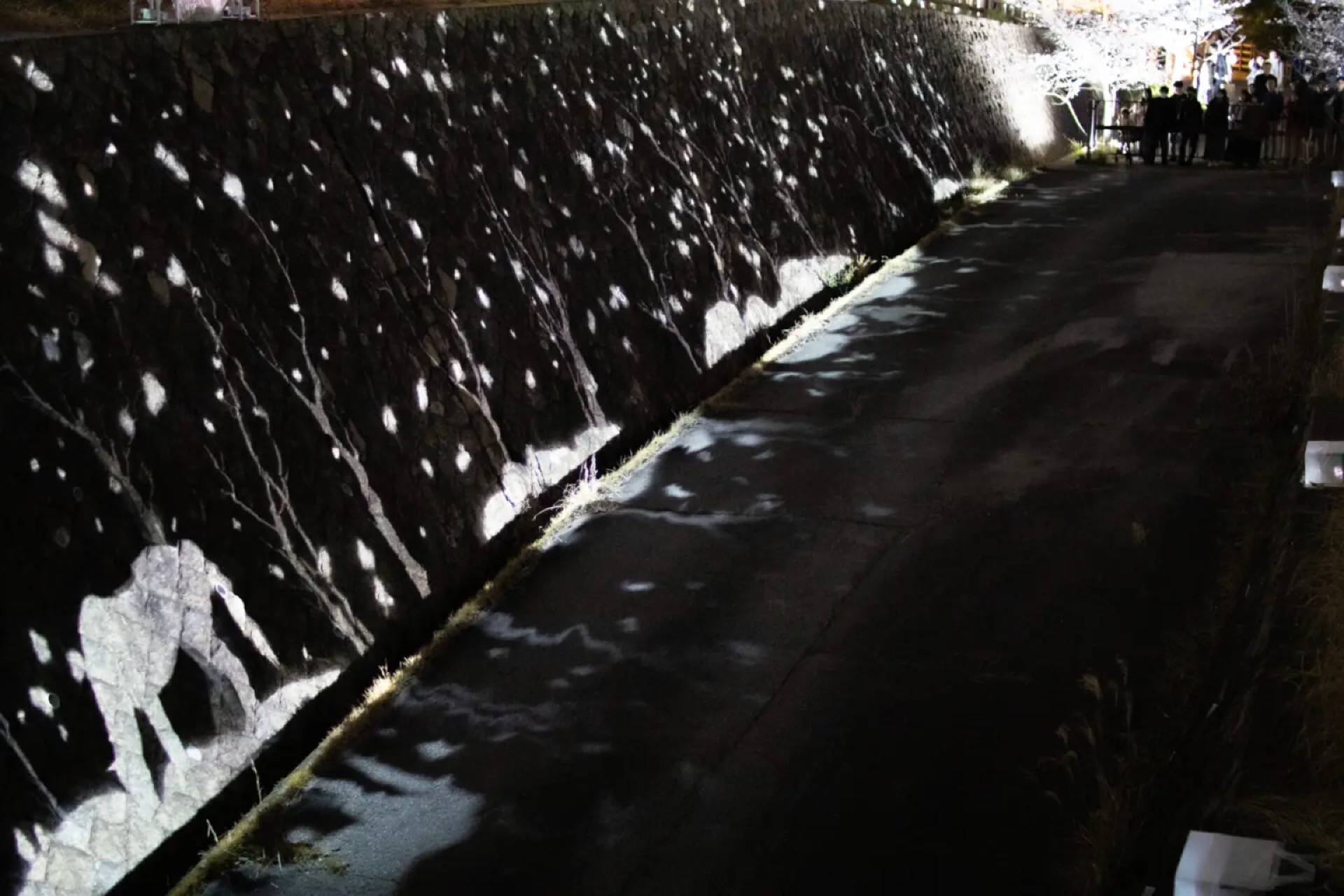 石垣に動物シルエットの投影